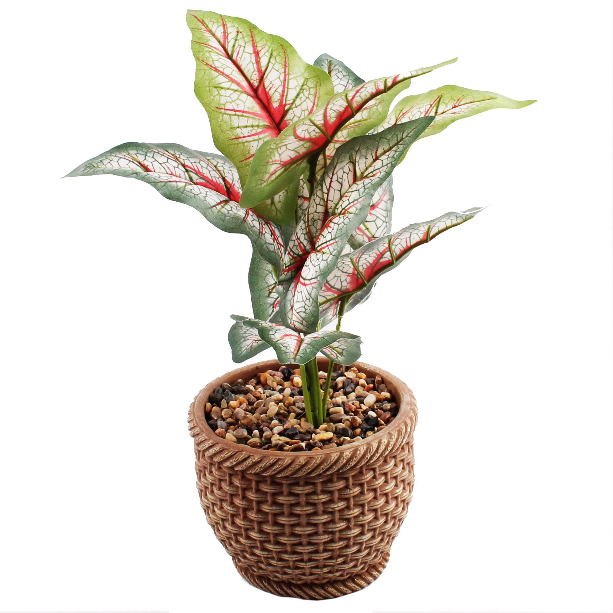 ''12.5'''' Faux Caladium Leafy Plant with CERAMIC Base and Pebbles - Qty 4''